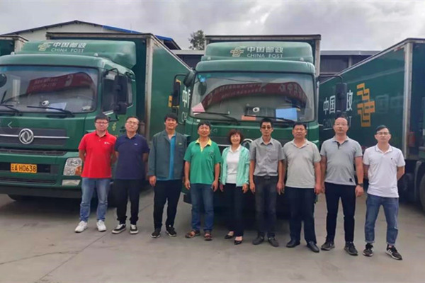 ͑P(gun)f һwģ(w)ǰ