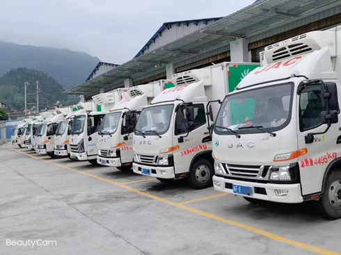 朴͑c(din)ٝ1(dng)(w)Nʡ