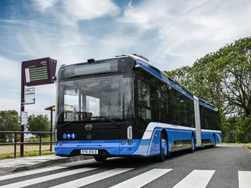 yȫW늄Ӵͼȁ2025r܇չ