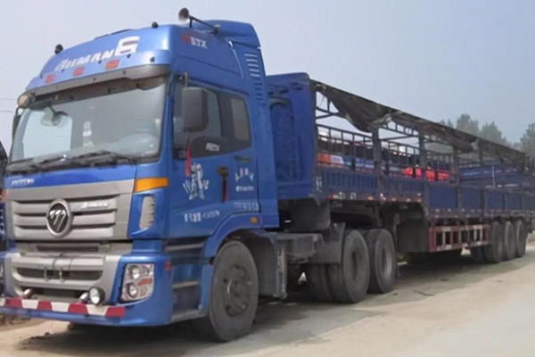 f(shu)ʮһcWͬ(sh)F(xin)(mng)