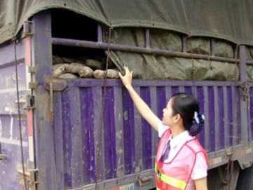 9_(ki)ʼ ֹͨM(fi)© ͨ