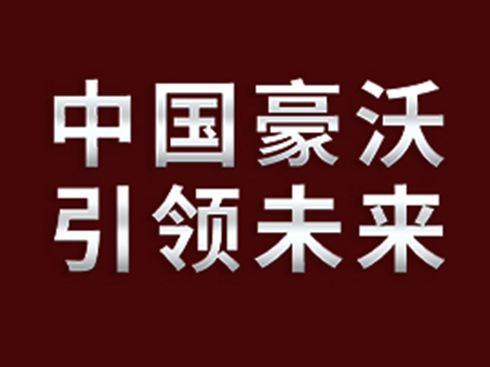 ֱƷ20sҫʢHOWO-TS7Ʒаl(f)